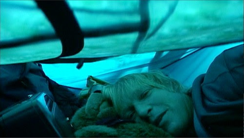 15 Grizzly Man