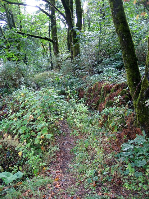 Mist Falls
