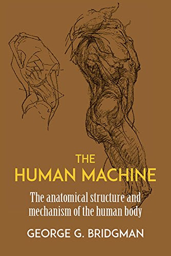The Human Machine (Dover Anatomy for Artists), by George B. Bridgman