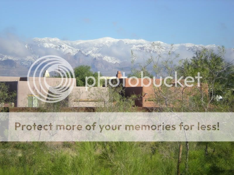 Photo Sharing and Video Hosting at Photobucket