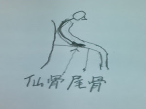尾てい骨打撲したセックスできますかｑ ａ あおぞら整骨院