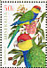 Red-capped Parrot Purpureicephalus spurius