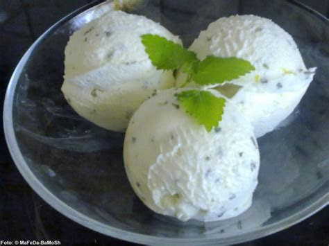 joghurt eis  la hugo rezept mit bild kochbarde