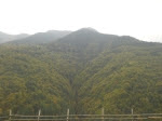 DSCN3058