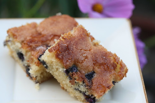 Blueberry Boy Bait (America's Test Kitchen)
