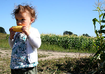 EsmeCorn
