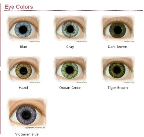 Eye colors can range from pale blue to dark brown that looks black. all about the human eye color chart ovo mod fashion