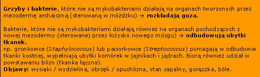 mezoderma_mikroby