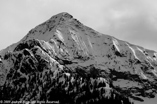 _MG_2805 (2)