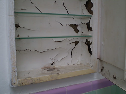 ACK! Old med cabinet