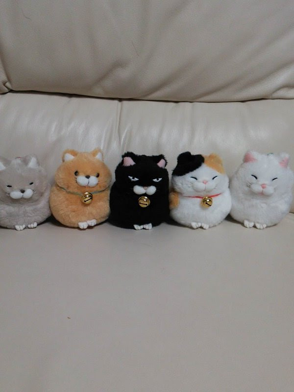 飼ってる猫にそっくりなぬいぐるみを発見してufoキャッチャーでgetした結果 Netgeek