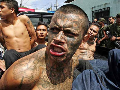 PICS MS-13 Tattoos PHOTOS MS-13 Tattoos IMAGES MS-13 Tattoos WALLPAPERS