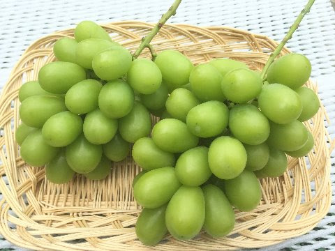 シャインマスカット 種なし 皮ごと ぶどう
