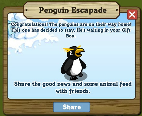 Snares Penguin