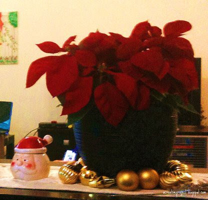 xmas