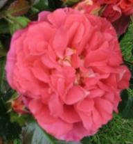 sprüche und zitate zum nachdenken auf englisch