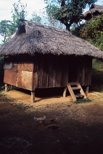 Hut