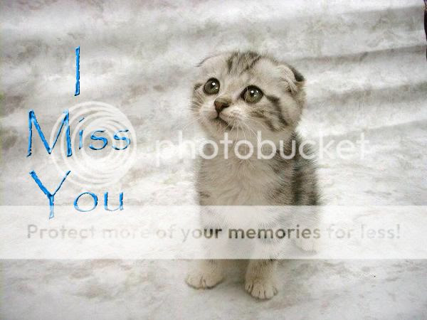 I miss you already. i miss you