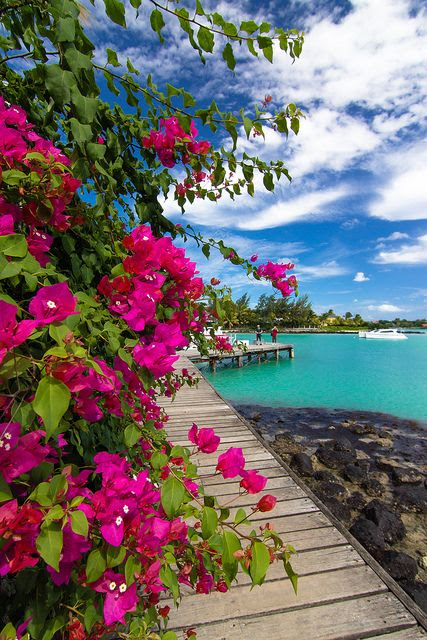 Heavenly Mauritius