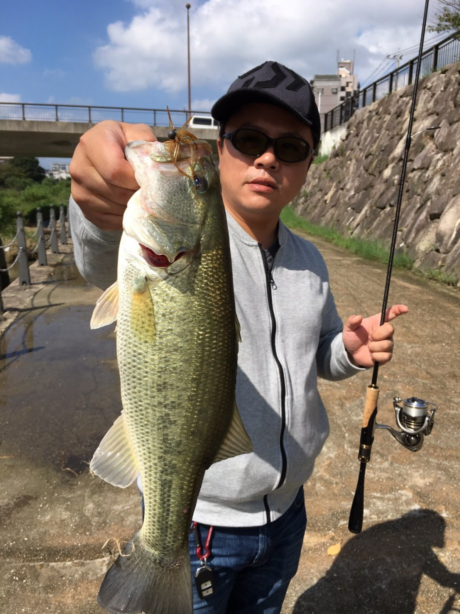 ブログ 福岡市那珂川にて
