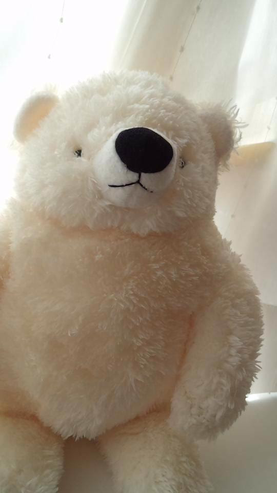 連休２日目です シロクマぬいぐるみも入荷してます 東京ねこなかま