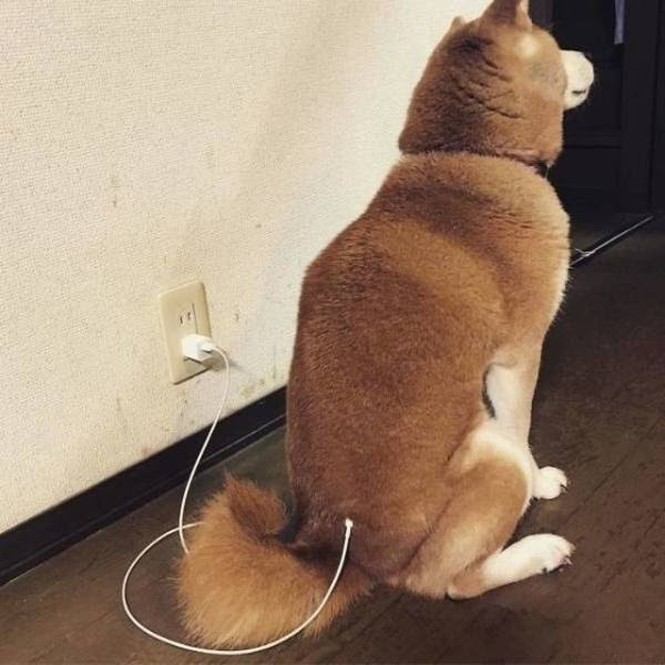 Daily Picdump
