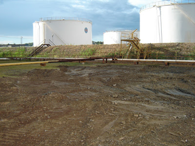 Remediation Environmental Management Services Inc