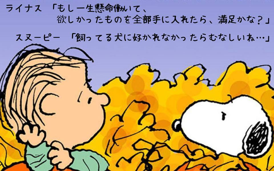 家族の名言 独断と偏見によるランキングベスト10 毎日が日曜日