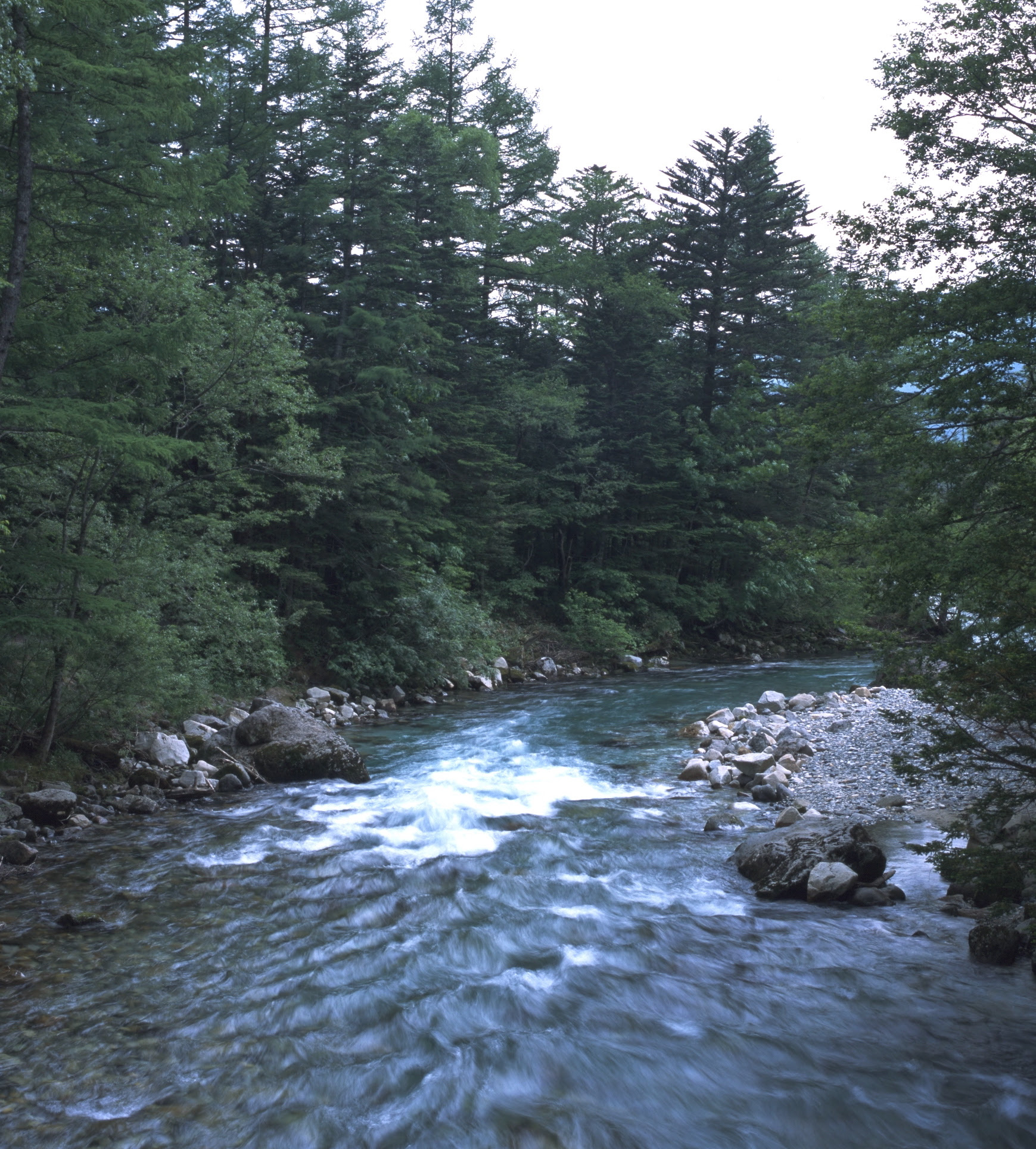 File:Kamikochi Riverbed in Forest.jpg - Wikimedia Commons