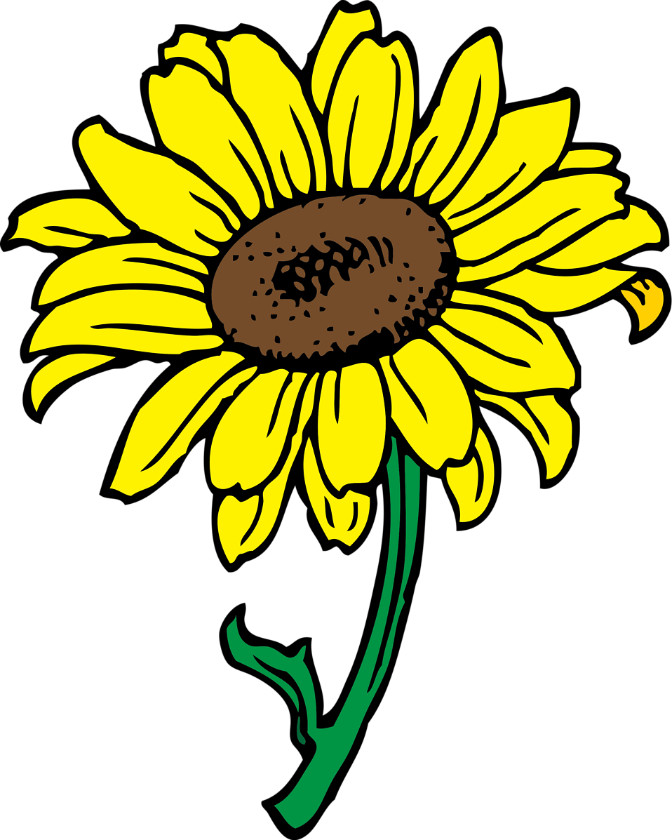 Free Free 142 Transparent Background Sunflower Clipart Sunflower Png SVG PNG EPS DXF File