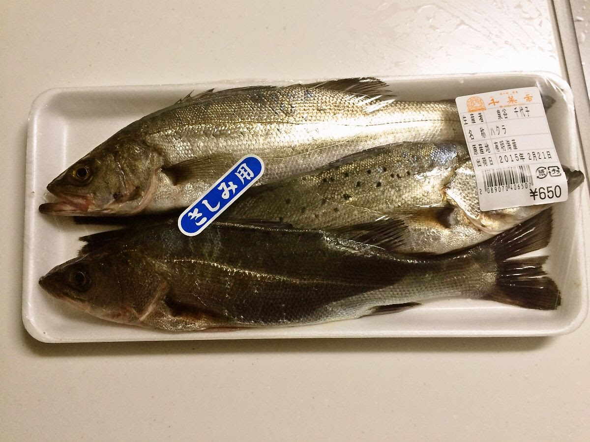 有明海の固有種 ハクラ こと有明海産スズキを食べてみました 居酒屋村上