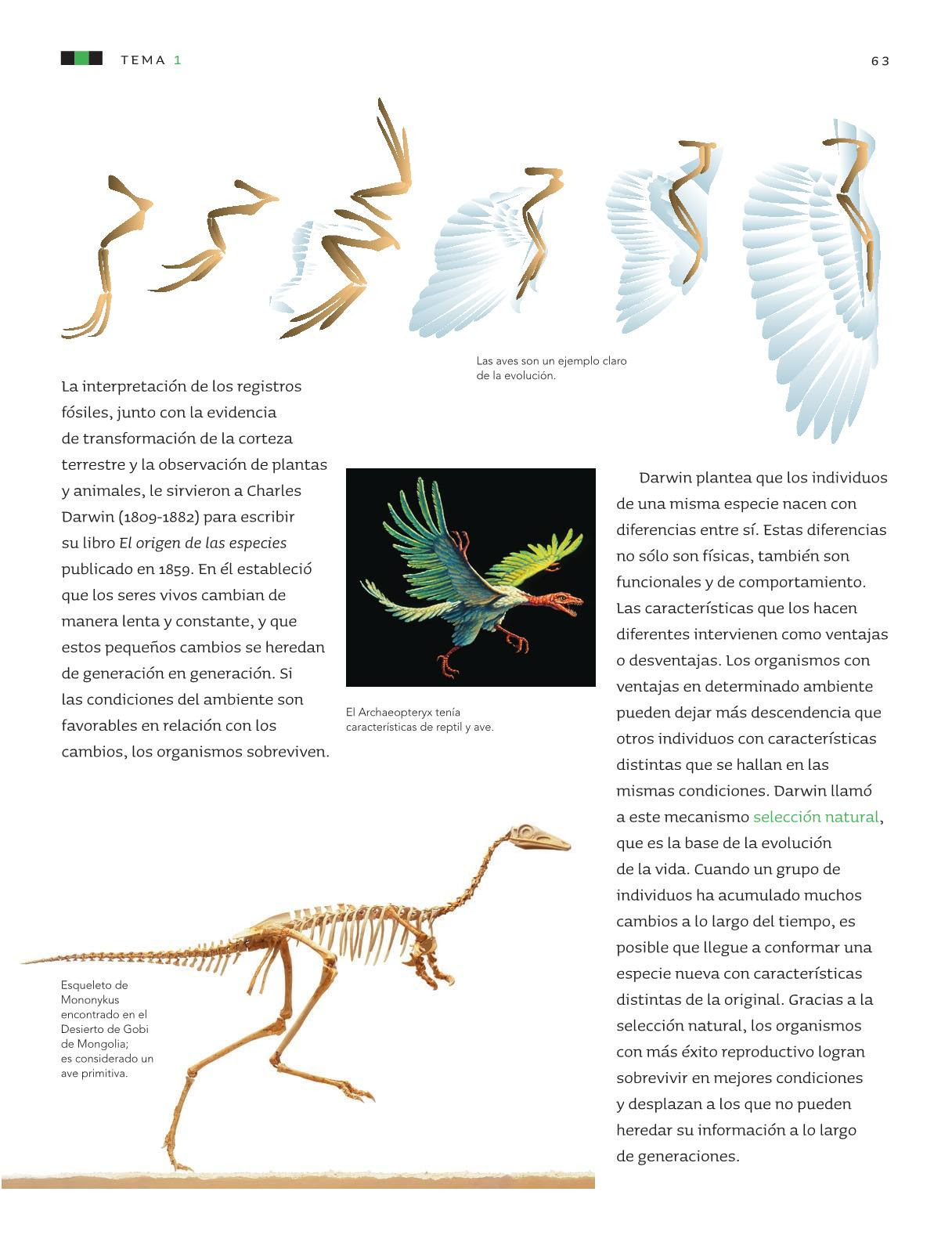 Ciencias Naturales Sexto grado 2016-2017 - Online - Página ...
