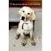 Marley & Me: Love and Life with the World's Worst Dog