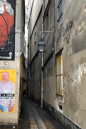 Paris paris chat