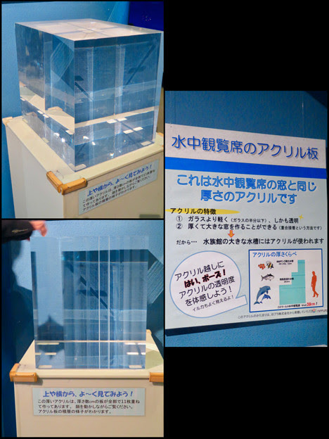 名古屋港水族館の水槽で使用されてるアクリル板 4 写真共有サイト フォト蔵