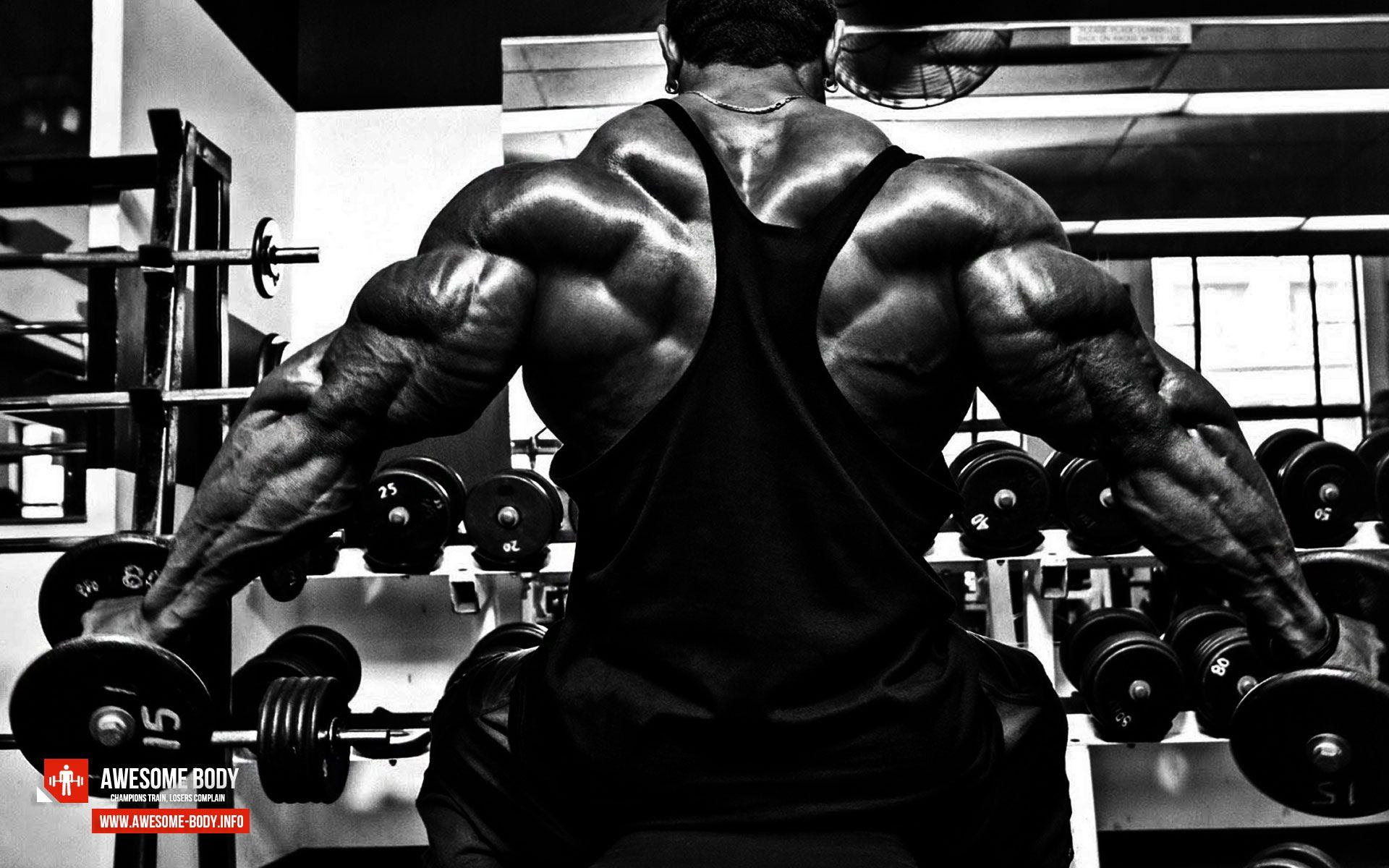 Bodybuilding Wallpapers HD 2016 - Wallpaper Cave