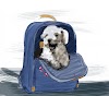 11+ What Are Good College Pets