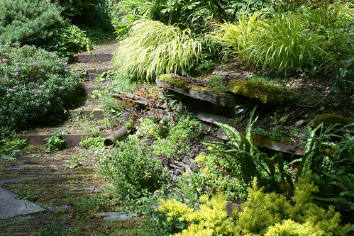 ledges of rock