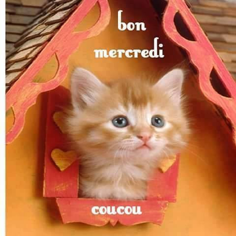 Bon Mercredi