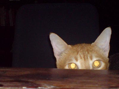 laser eyes on!