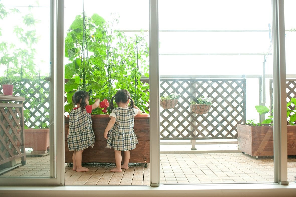 ベランダ菜園 バルコニー菜園 マンションでもここまで豊かに楽しくできる 最高にちょうどいい暮らし ブログ最高にちょうどいい暮らし ブログ