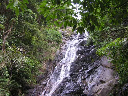 梧桐山