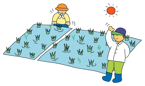 お米を作るのに必要な水の量は ごはん塾の本棚