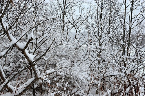 winter ski_268