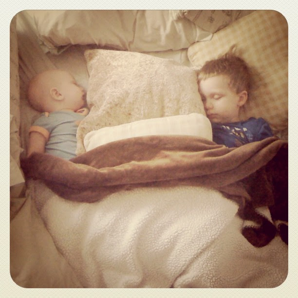 My nest. The decoy pillow.