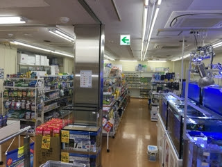 かねだい横浜店 マメデザイン アクア ブログ De ニュース