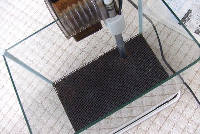 金魚水槽 ソイル交換 Hiroto Ayaka の成長日記