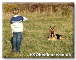 http://www.dog-training-excellence.com/dog-training-hand-signals.html