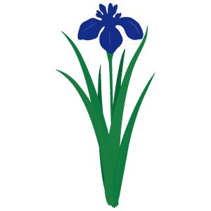 菖蒲アヤメのイラスト1 花 植物イラスト Flode Illustration フロデイラスト