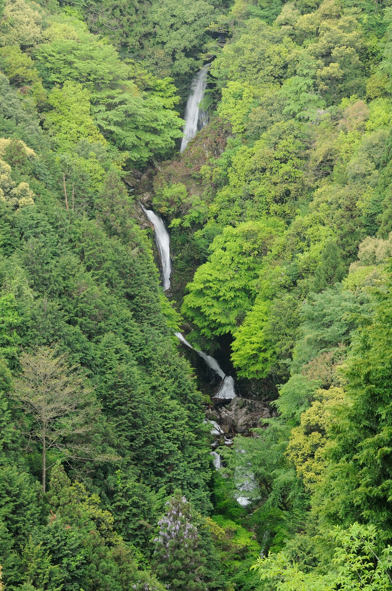 布引の滝 津市 がんでんの館